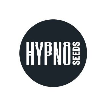 Hypno Seeds Autofloraison
